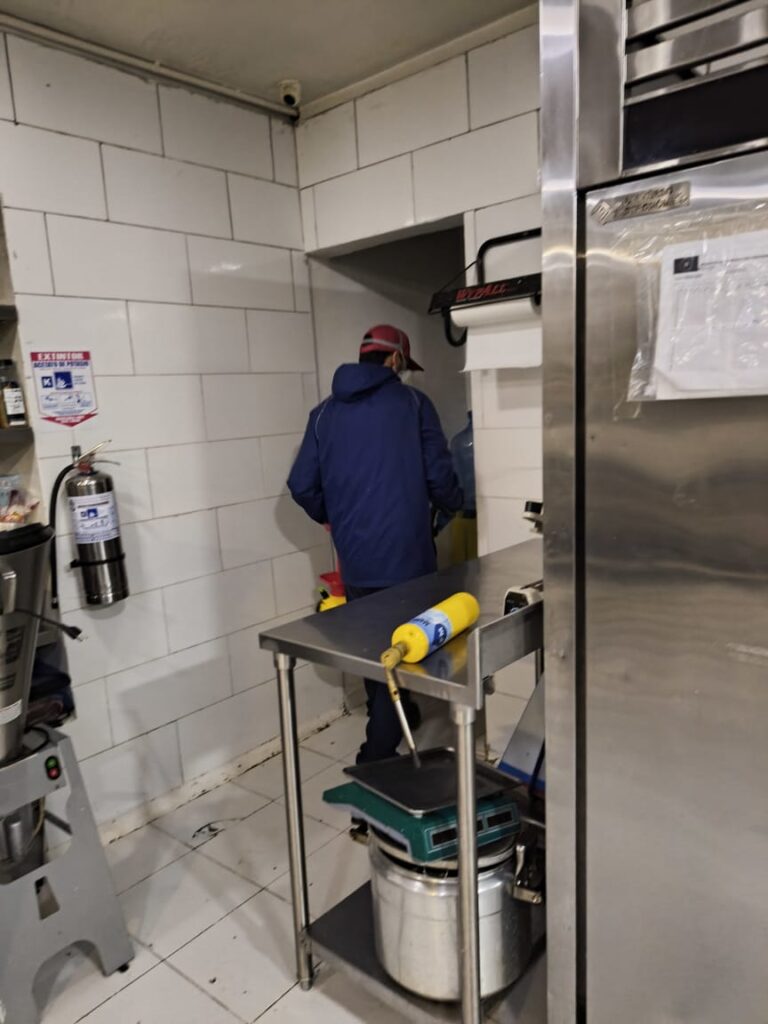 fumigación de restaurantes en Pereira